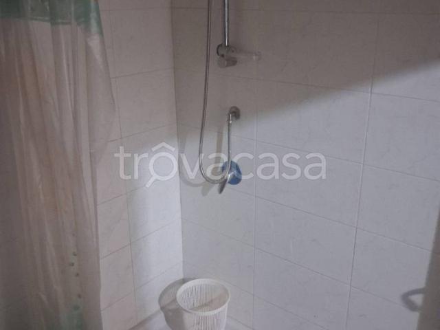 Appartamento in in affitto da privato a Castelnuovo Cilento via Pantana, 13, da privato, luminoso TrovaCasa