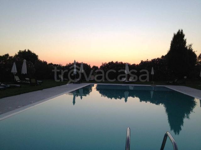 Appartamento in in affitto da privato a Castelnuovo del Garda via Brolo, 6, giardino privato, da privato, immobile di prestigio TrovaCasa