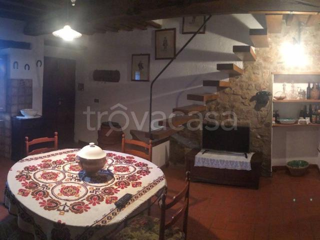 Appartamento in in affitto da privato a Castiglione d'Orcia via Giuseppe Verdi, 15, giardino, da privato, caminetto TrovaCasa