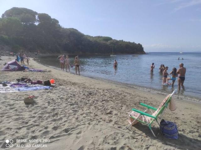 Appartamento in in affitto da privato a Castiglione della Pescaia via del Castello, snc, da privato TrovaCasa