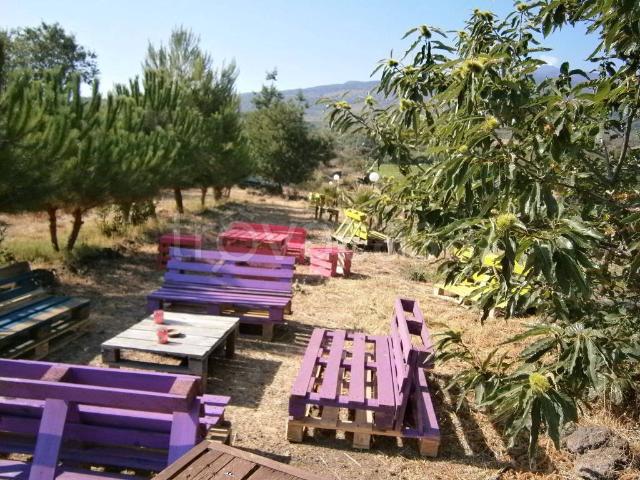 Appartamento in in affitto da privato a Castiglione di Sicilia via Castiglione, 7, giardino, da privato, parzialmente arredato TrovaCasa
