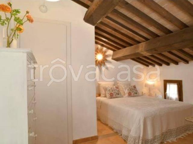 Appartamento in in affitto da privato a Cecina via Carlo Ginori, 18, giardino, da privato, ingresso indipendente TrovaCasa