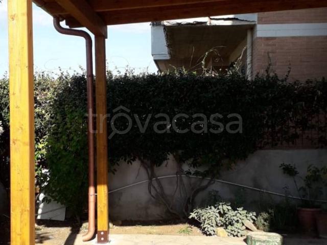 Appartamento in in affitto da privato a Cerveteri via delle Gerbere, 37, giardino, da privato, da ristrutturare TrovaCasa