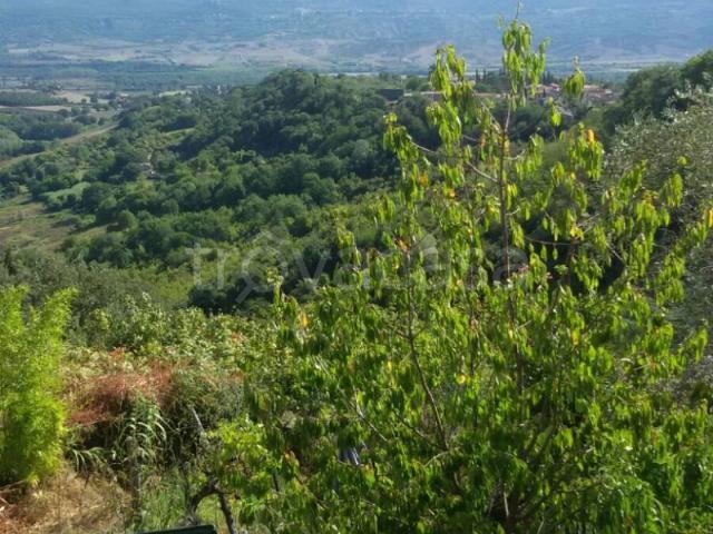 Appartamento in in affitto da privato a Civitella d'Agliano via Giuseppe Mazzini, 3, da privato TrovaCasa