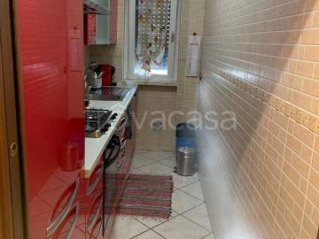 Appartamento in in affitto da privato a Cinisello Balsamo via Renato Fucini, 6, da privato, cantina, balcone TrovaCasa