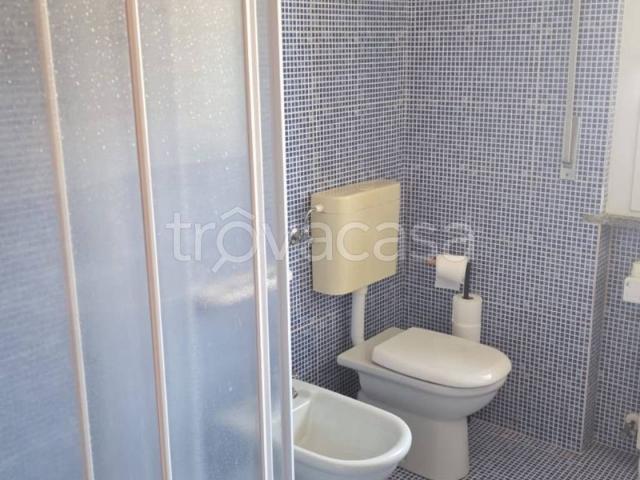 Appartamento in in affitto da privato a Borgomanero via Fratelli Maioni, 117, arredato, box, da privato TrovaCasa