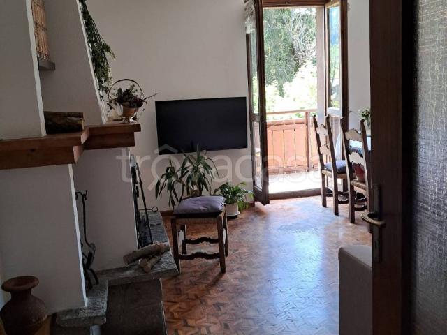 Appartamento in in affitto da privato a Bormio via Campello, 15, giardino, da privato, vista panoramica TrovaCasa