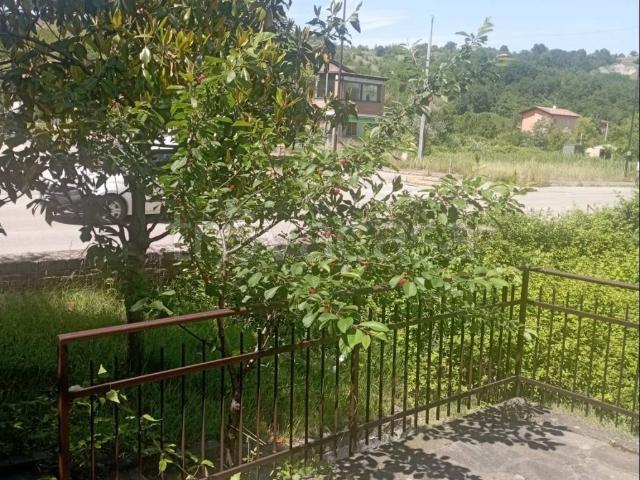 Appartamento in in affitto da privato a Baiso via Muraglione, giardino privato, terrazzo, da privato TrovaCasa