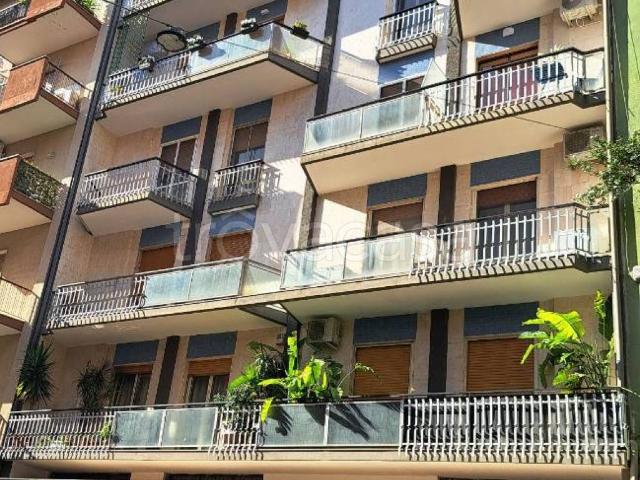 Appartamento in in affitto da privato a Bari via Sagarriga Visconti, 199, arredato, da privato, ascensore TrovaCasa