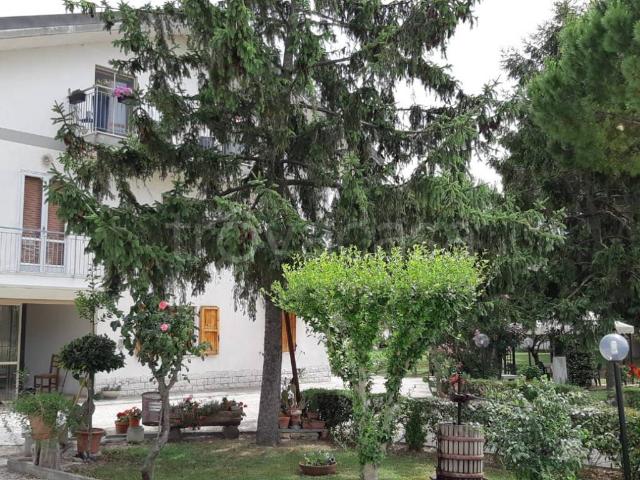 Appartamento in in affitto da privato a Bellaria Igea Marina via Eugenio Onofri, 21, giardino, posto auto, da privato TrovaCasa