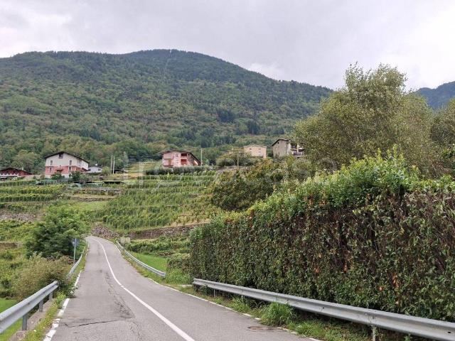 Appartamento in in affitto da privato a Berbenno di Valtellina via 25 Aprile, da privato, ristrutturato, angolo cottura TrovaCasa