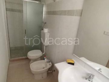 Appartamento in in affitto da privato a Brindisi via Romolo, 93, da privato, vicinanze negozi, cucina abitabile TrovaCasa