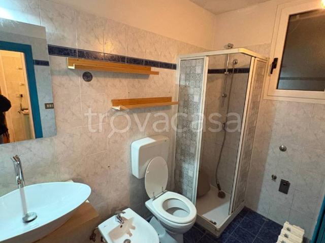 Appartamento in in affitto da privato a Budrio via Due Madonne, 21, giardino privato, posto auto, da privato TrovaCasa