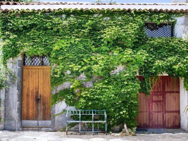 Appartamento in in affitto da privato a Giarre strada 61, 10, da privato, panoramica TrovaCasa