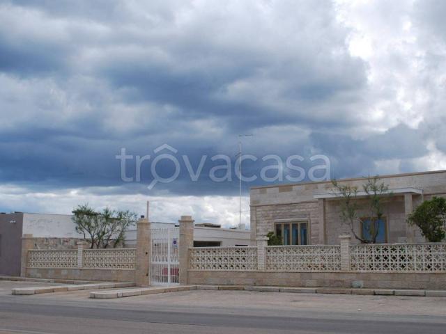 Appartamento in in affitto da privato a Giovinazzo lungomare Marina Italiana, 57, giardino, posto auto, da privato TrovaCasa