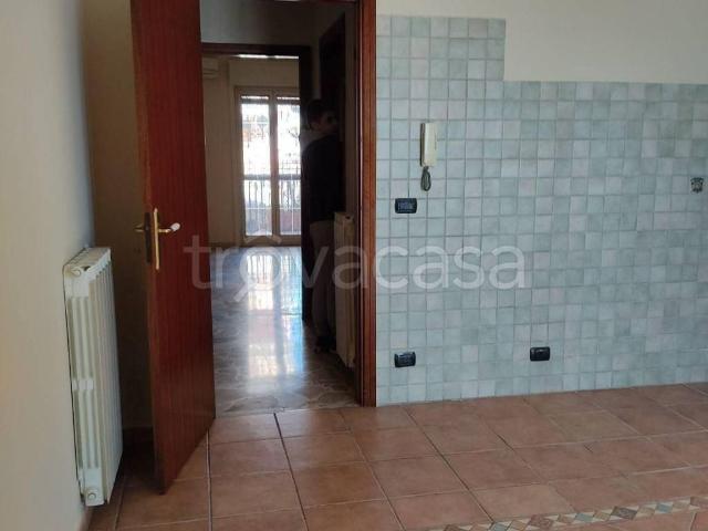 Appartamento in in affitto da privato a Gravina di Catania via Donato Bramante, 25, box, terrazzo, da privato TrovaCasa