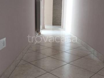 Appartamento in in affitto da privato a Davoli viale Cassiodoro, 263, arredato, posto auto, terrazzo TrovaCasa