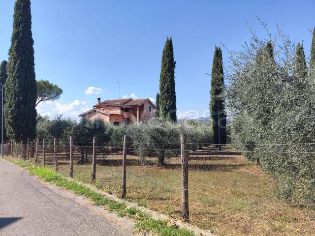 Appartamento in in affitto da privato a Forano via Tevere, 5, giardino, terrazzo, da privato TrovaCasa