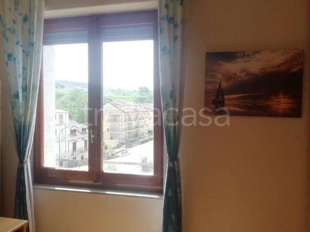 Appartamento in in affitto da privato a Falerna strada Statale Tirrena Inferiore, arredato, da privato, cucina abitabile TrovaCasa