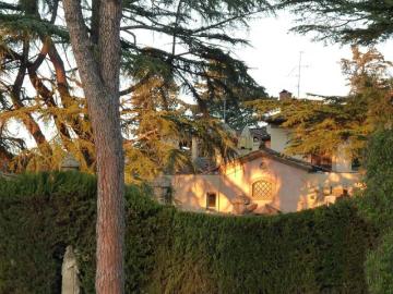 Appartamento in in affitto da privato a Firenze via della Madonna delle Grazie, 18, giardino, da privato, immobile di prestigio TrovaCasa