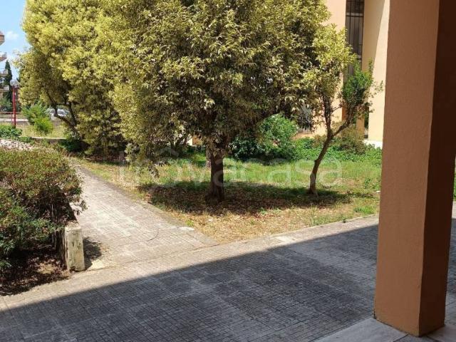 Appartamento in in affitto da privato a Itri via Eduardo De Filippo, 4, arredato, giardino, posto auto TrovaCasa