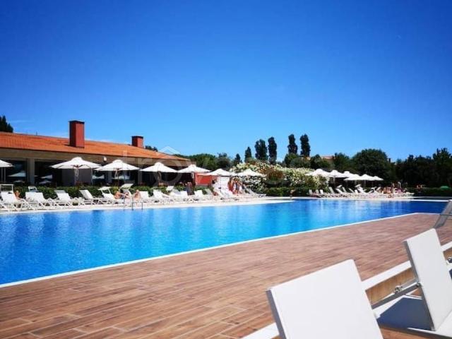 Appartamento in in affitto da privato a Jesolo via Peter Reichegger, 70, arredato, da privato, riscaldamento autonomo TrovaCasa