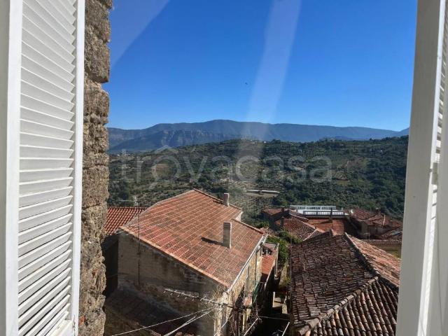 Appartamento in in affitto da privato a Ogliastro Cilento via Luigi Siniscalchi Eredita Cilento, da privato, cantina TrovaCasa