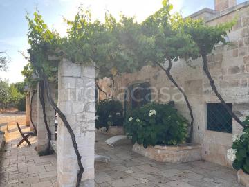 Appartamento in in affitto da privato a Ostuni strada Provinciale ostuni francavilla Fontana, da privato, piscina TrovaCasa