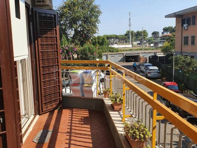 Appartamento in in affitto da privato a Ladispoli largo Saturno, 15, arredato, da privato, ascensore TrovaCasa