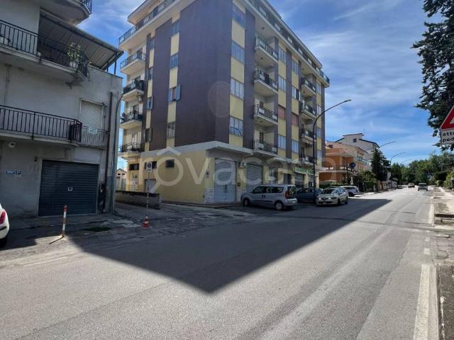 Appartamento in in affitto da privato a Lanciano viale Cappuccini, 365, arredato, da privato, buono stato TrovaCasa