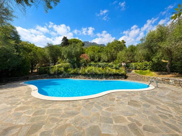 Appartamento in in affitto da privato a Levanto via Valle Santa, 11, giardino, da privato, immobile di prestigio TrovaCasa