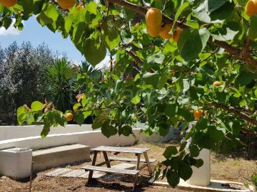 Appartamento in in affitto da privato a Modugno contrada Balsignano, arredato, da privato, ristrutturato TrovaCasa