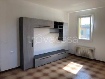 Appartamento in in affitto da privato a Molinella via Tagliamenazzo, 4, posto auto, da privato, lavastoviglie TrovaCasa