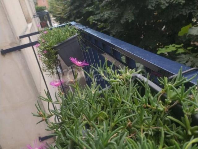 Appartamento in in affitto da privato a Moncalieri viale Stazione, 1bis, arredato, da privato, ascensore TrovaCasa