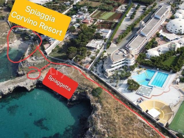 Appartamento in in affitto da privato a Monopoli viale Aldo Moro, 6, da privato, ascensore, piscina TrovaCasa