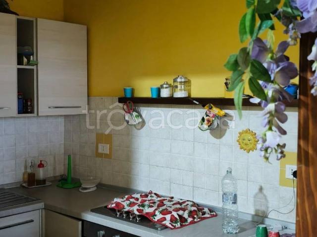 Appartamento in in affitto da privato a Montalto di Castro via delle Spugne, 2, arredato, terrazzo, da privato TrovaCasa