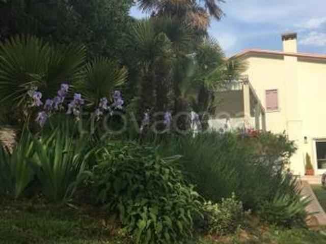 Appartamento in in affitto da privato a Montegrotto Terme via Scagliara, 1b, arredato, giardino, da privato TrovaCasa