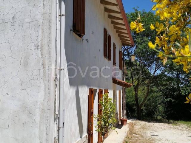 Appartamento in in affitto da privato a Montemarciano via Nocicchia, 18, giardino, da privato TrovaCasa