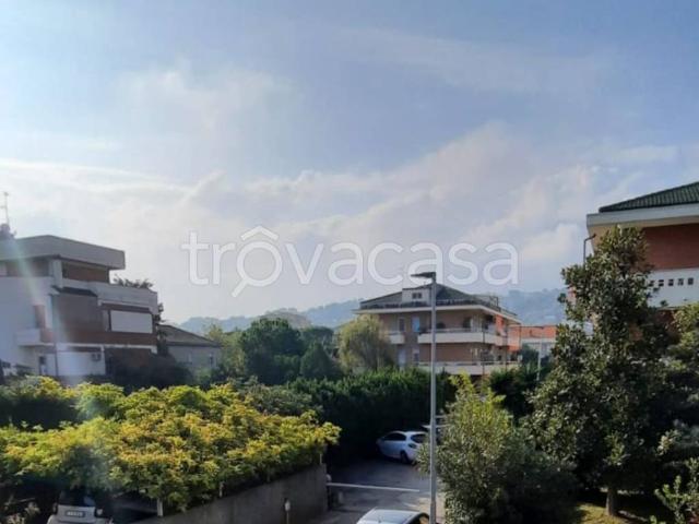 Appartamento in in affitto da privato a Montesilvano via Secchia, 6, arredato, terrazzo, da privato TrovaCasa