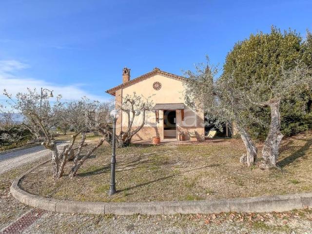 Appartamento in in affitto da privato a Magione viale Trasimeno, 100, da privato, angolo cottura TrovaCasa