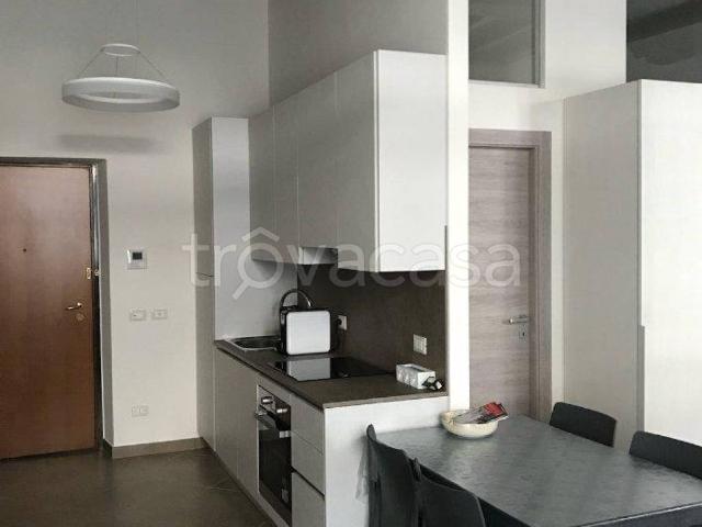 Appartamento in in affitto da privato a Mantova via Gilberto Govi, 9, da privato, ristrutturato, lavatrice TrovaCasa