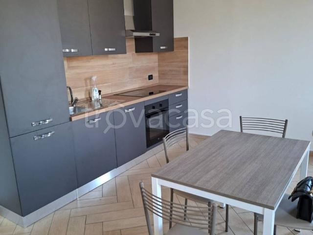 Appartamento in in affitto da privato a Mantova via Leopoldo Pilla, 3, da privato, vista lago, ristrutturato TrovaCasa