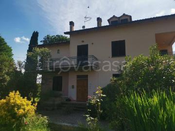 Appartamento in in affitto da privato a Marciano strada Provinciale del Pozzo, 20, arredato, giardino, da privato TrovaCasa