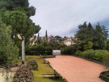 Appartamento in in affitto da privato a Mascalucia via Giovanni Fattori, 53, giardino, da privato, piscina TrovaCasa