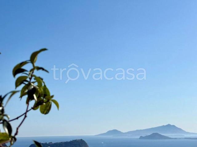 Appartamento in in affitto da privato a Napoli via Alessandro Manzoni, 214, arredato, terrazzo, da privato TrovaCasa