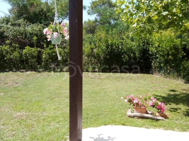 Appartamento in in affitto da privato a Numana via Costaverde, 1, arredato, giardino privato, posto auto TrovaCasa