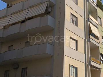 Appartamento in in affitto da privato a Soverato viale Magna Grecia, 15, giardino privato, da privato, doppia esposizione TrovaCasa