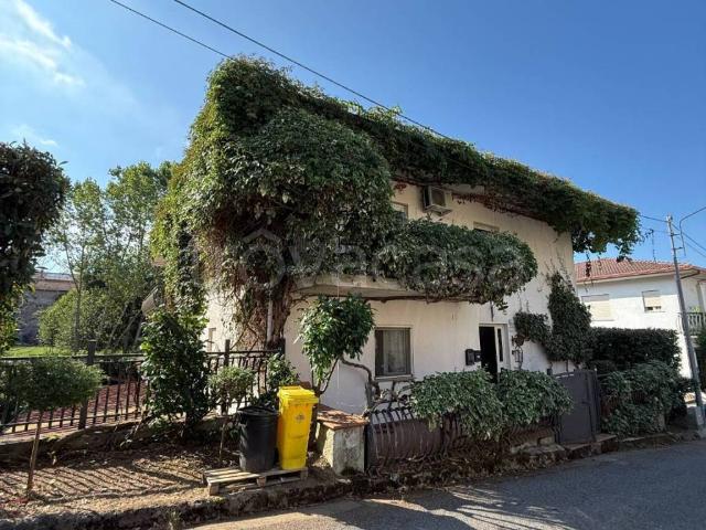 Appartamento in in affitto da privato a Soveria Mannelli via Campi di Lino, 7, da privato, vicinanze negozi, luminoso TrovaCasa