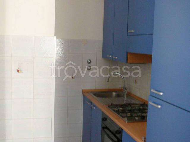 Appartamento in in affitto da privato a Sondrio via Ercole Bassi, 28, arredato, da privato TrovaCasa