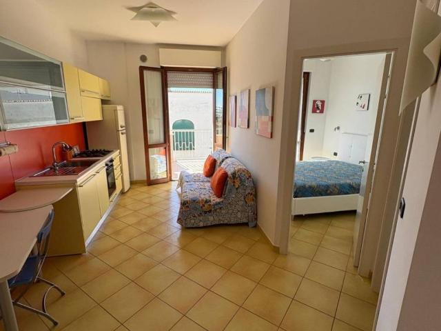Appartamento in in affitto da privato a San Benedetto del Tronto via Teresa Confalonieri, 8, terrazzo, da privato, vista mare TrovaCasa